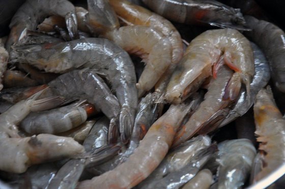 Frozen-Shrimps–Frozen-Lobsters
