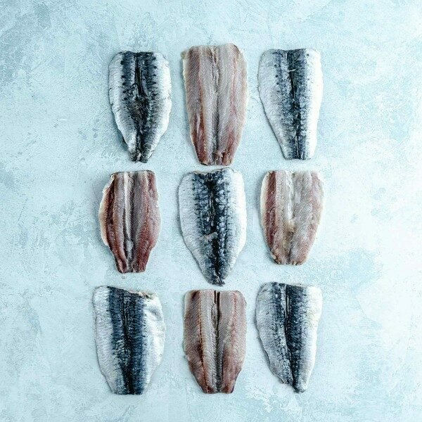 Sardine-fillets_600x600