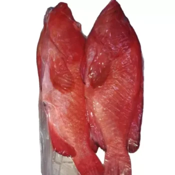 FROZEN RED GROUPER