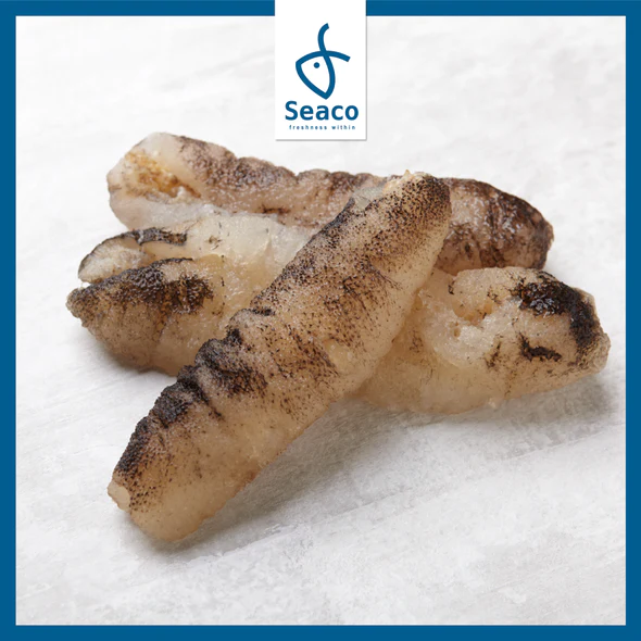 Sandfish Sea Cucumber